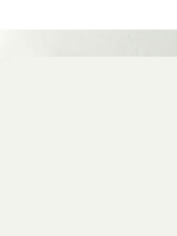 Friso Lateral Peugeot Boxer Ducato Jumper 2014 2015 2016 017