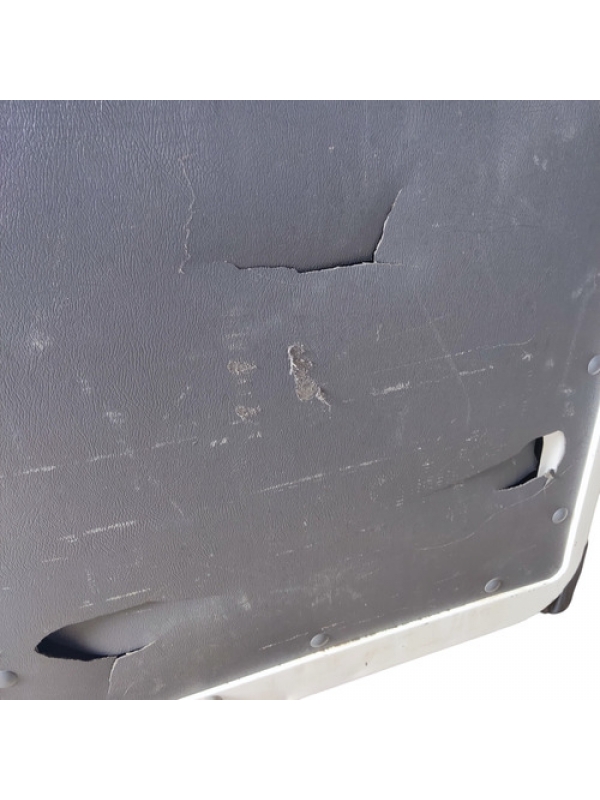 Porta Traseira Esquerda Fiat Ducato 2018, 2019, 2020 À 2024.