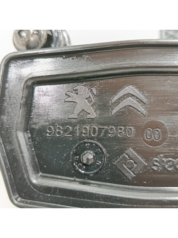 Pescador De Óleo Peugeot Expert 1.5 2022 À 2024 9821907980 .