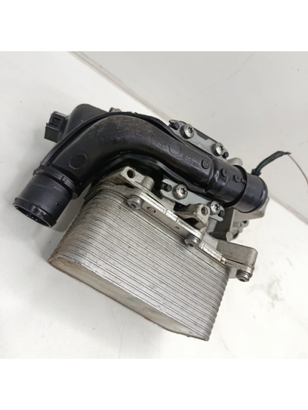 Radiador De Óleo Com Suporte Renault Master 2025 8201005241.