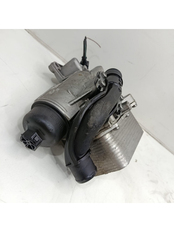 Radiador De Óleo Com Suporte Renault Master 2025 8201005241.