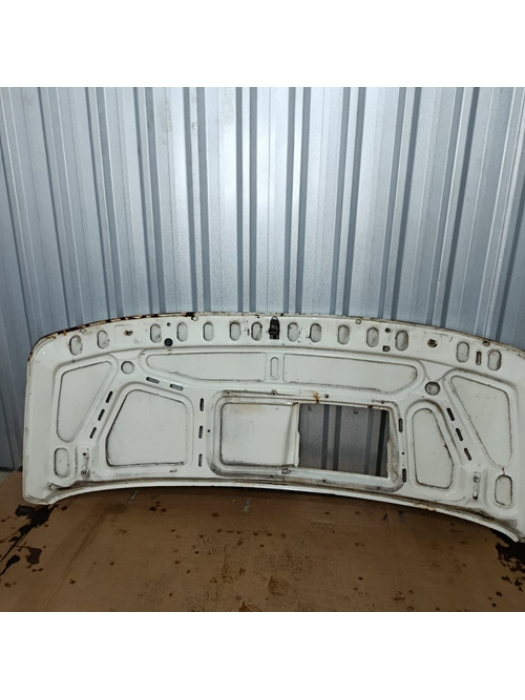 Capô Iveco Daily 1999/ 2000/ 2001/ 2002/ 2003/ 2004/ 2005 .
