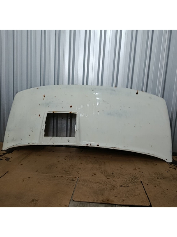 Capô Iveco Daily 1999/ 2000/ 2001/ 2002/ 2003/ 2004/ 2005 .