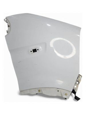 Paralama Lado Direito Renault Master 2.5 2005 Até 2011 2012.