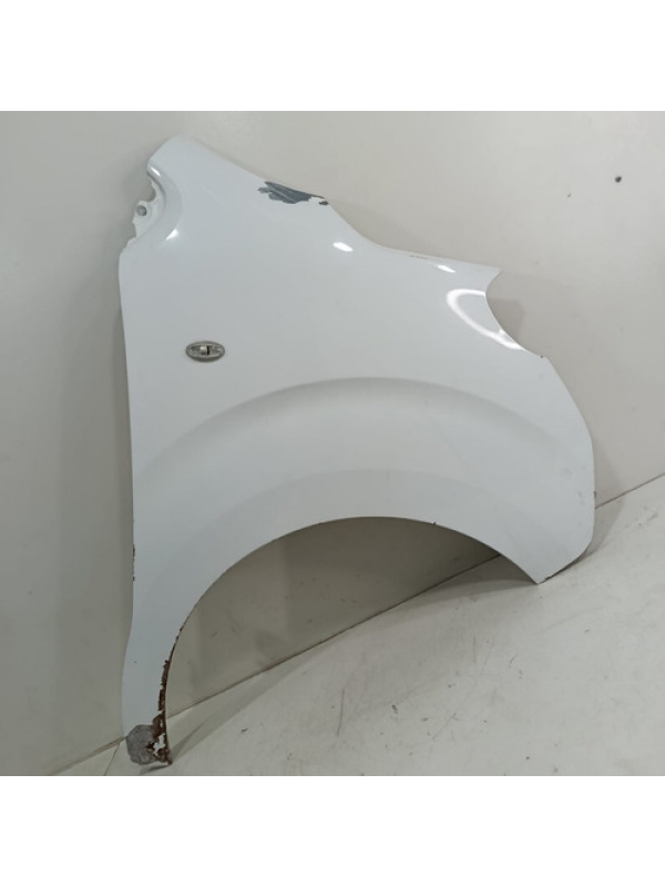 Paralama Direito Peugeot Expert Jumpy Scudo 2019 2020 2021 .