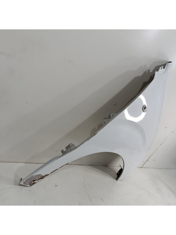 Paralama Direito Peugeot Expert Jumpy Scudo 2019 2020 2021 .