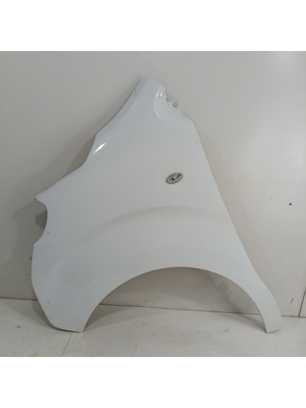 Paralama Esquerdo Peugeot Expert Jumpy Scudo 2019 2020 2021.