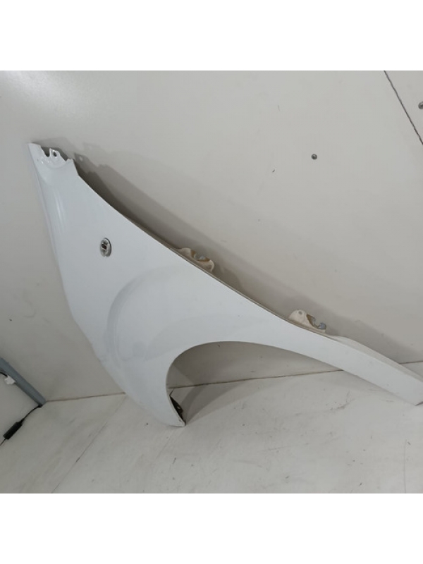 Paralama Esquerdo Peugeot Expert Jumpy Scudo 2019 2020 2021.