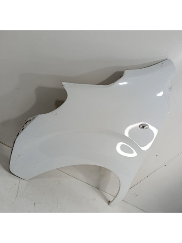 Paralama Esquerdo Peugeot Expert Jumpy Scudo 2019 2020 2021.