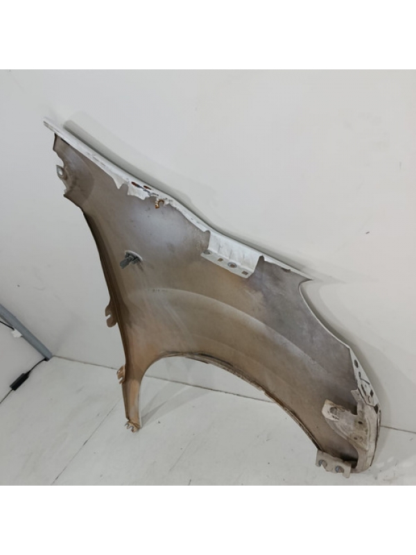 Paralama Esquerdo Peugeot Expert Jumpy Scudo 2019 2020 2021.
