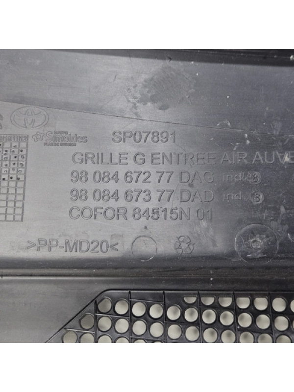 Churrasqueira Capô Peugeot Expert Jumpy Scudo 2018 2019 À 24