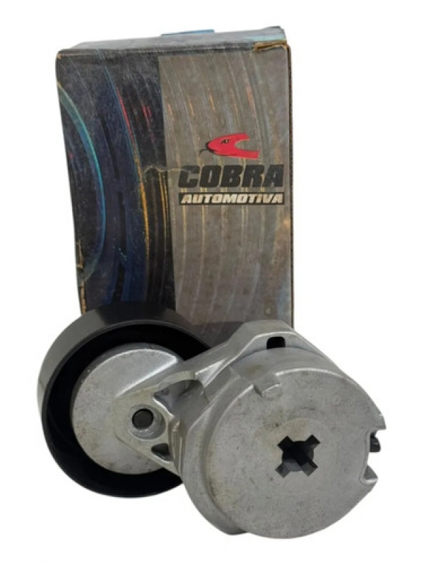 Tensor Correia Alternador Vw Gol/parati/saveiro 1.6 93 À 95