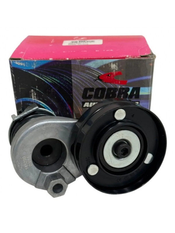 Rolamento Correia Alternador Vw Gol/parati 1.0 16v 1997 À 13